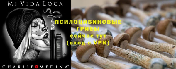 гидропоника Карталы