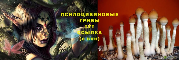 герыч Карпинск