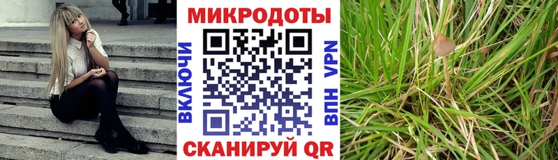 Купить  Ипатово  Галлюциногенные грибы MAGIC MUSHROOMS 